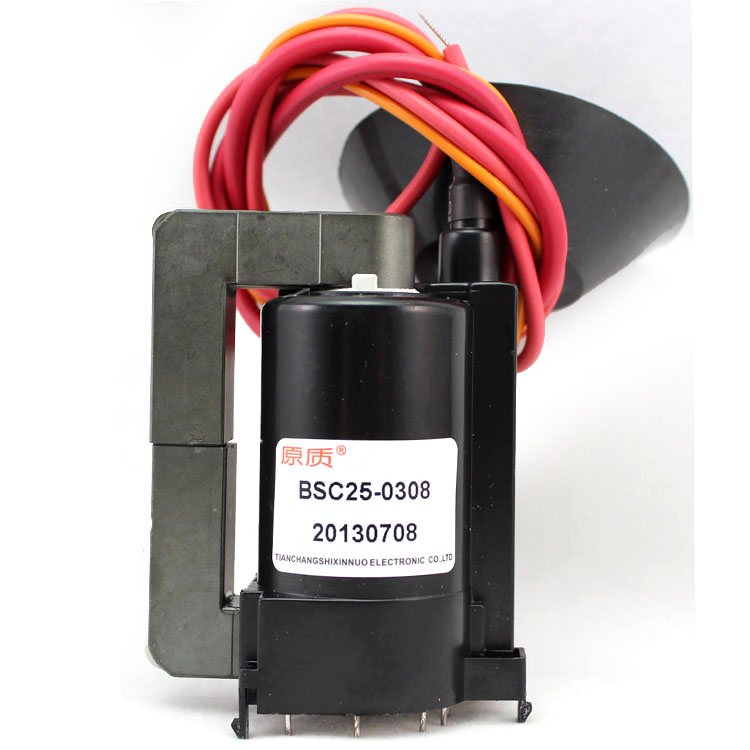 BSC25-0308 BSC25-0308