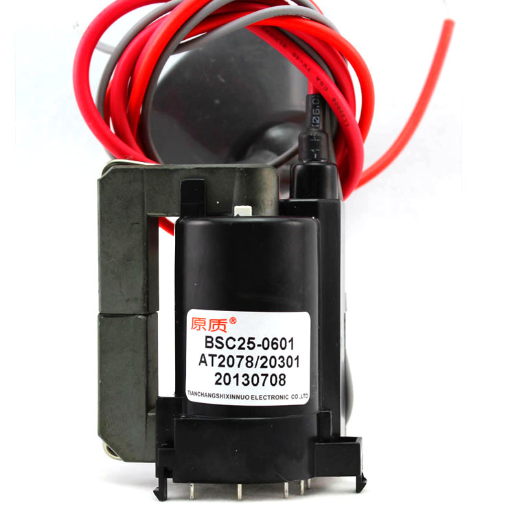 BSC25-0601 BSC25-0601