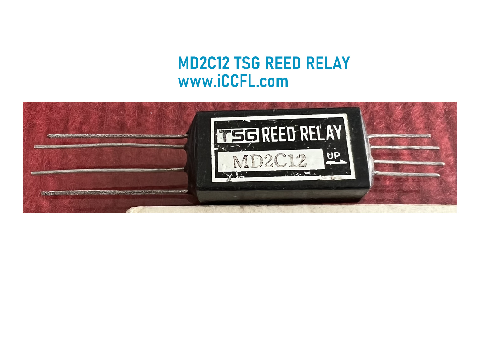 MD2C12 TSG REED RELAY