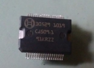 30529 bosch